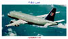 AIRBUS 319